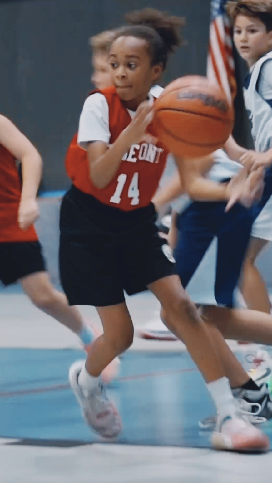 Little Lions Highlights