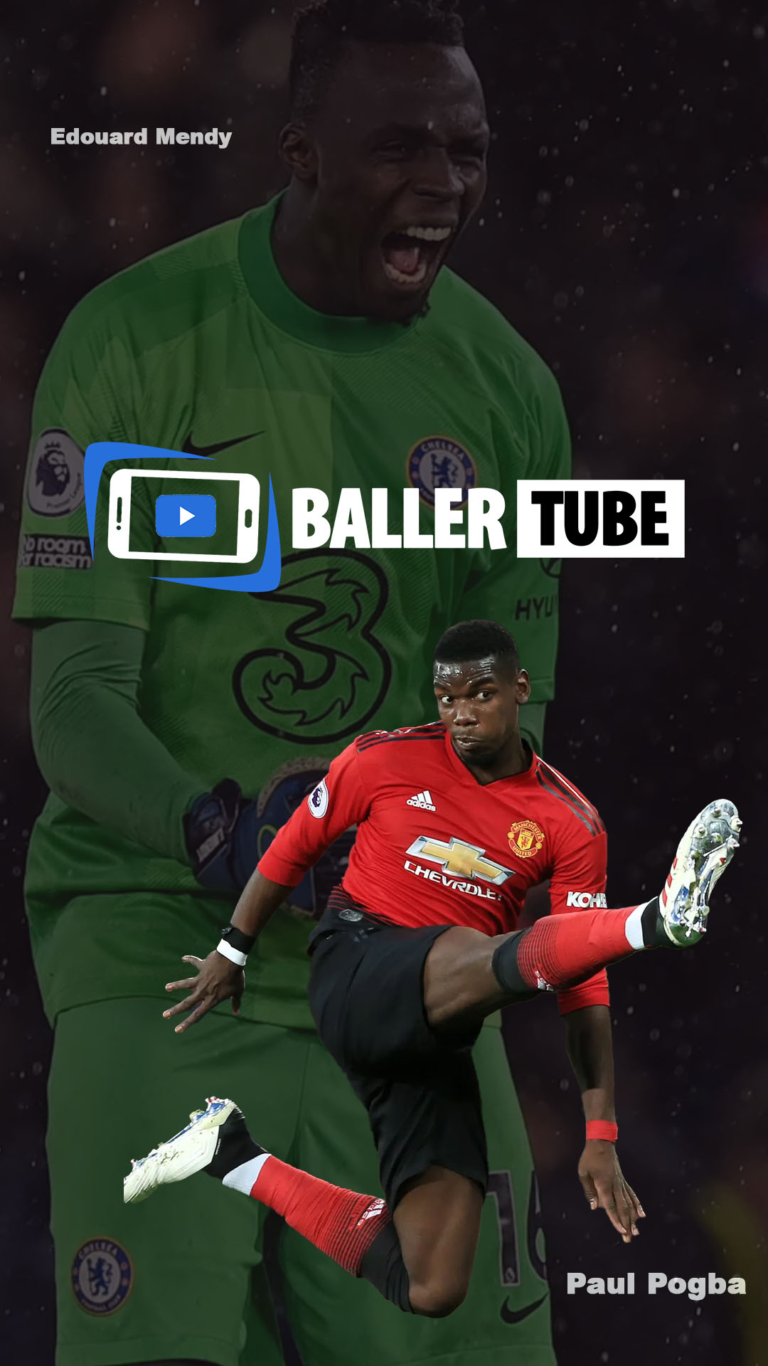 Unexpected Wild Moments on the Pitch