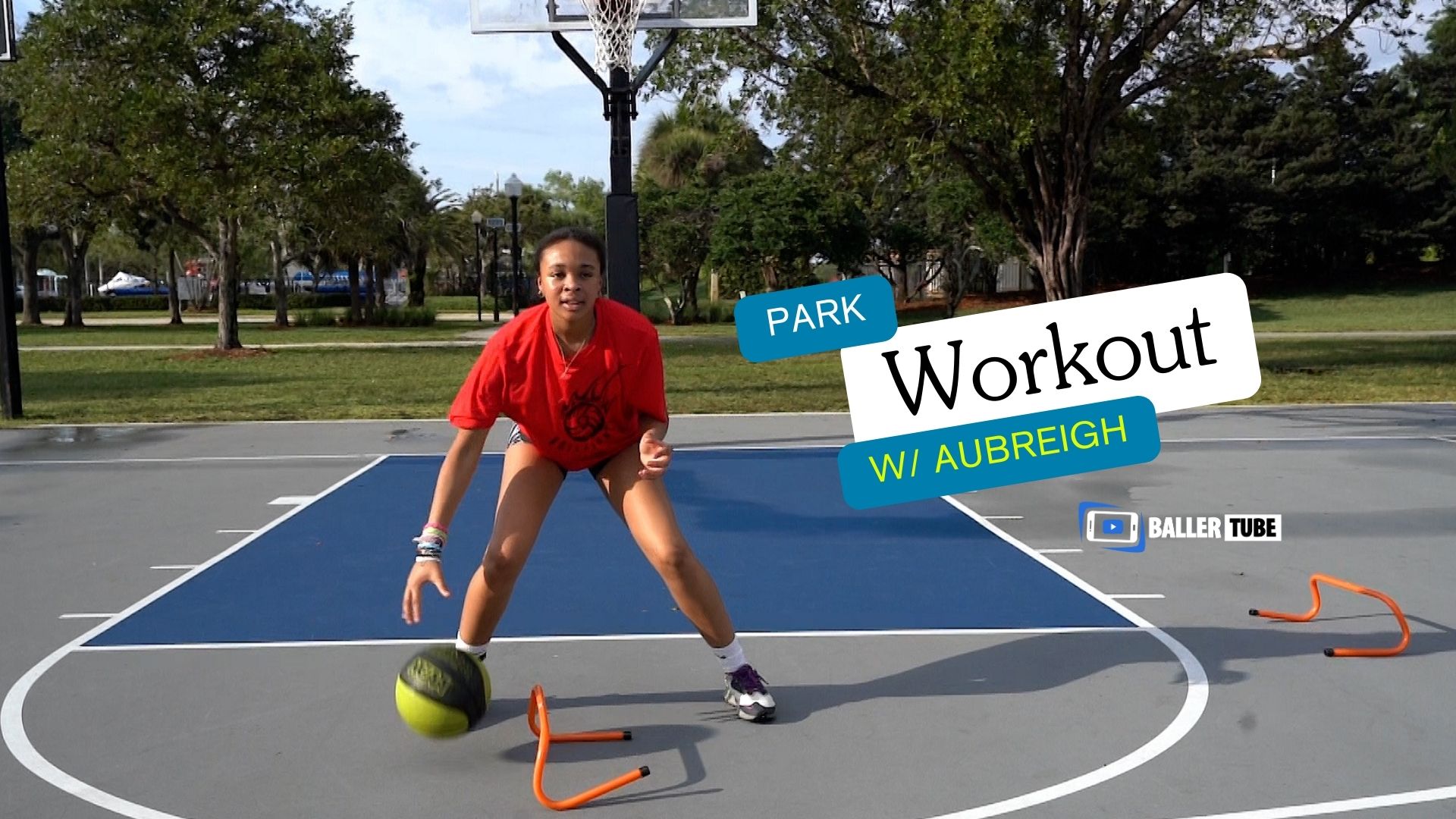 Light work at the Park