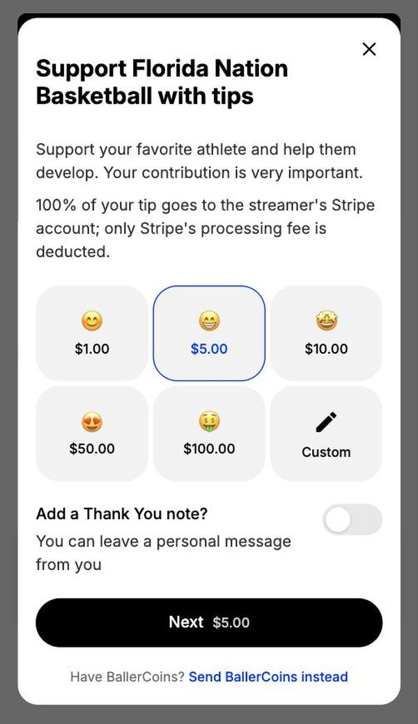Tip sheet with $1 to $100 tiles, a custom amount, a thank-you note switch and a BallerCoins option